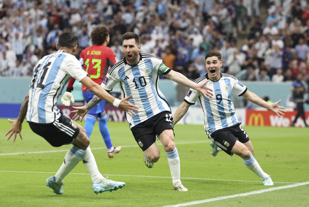 的优雅与坚 的优雅与坚