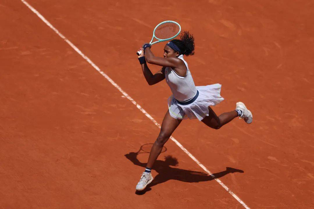 中国金花 中国金花